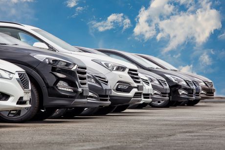 A Row of Cars are Parked Next to Each Other — Fort Myers, FL — Lester’s Used Auto Parts A Row of Cars are Parked Next to Each Other — Fort Myers, FL — Lester’s Used Auto Parts