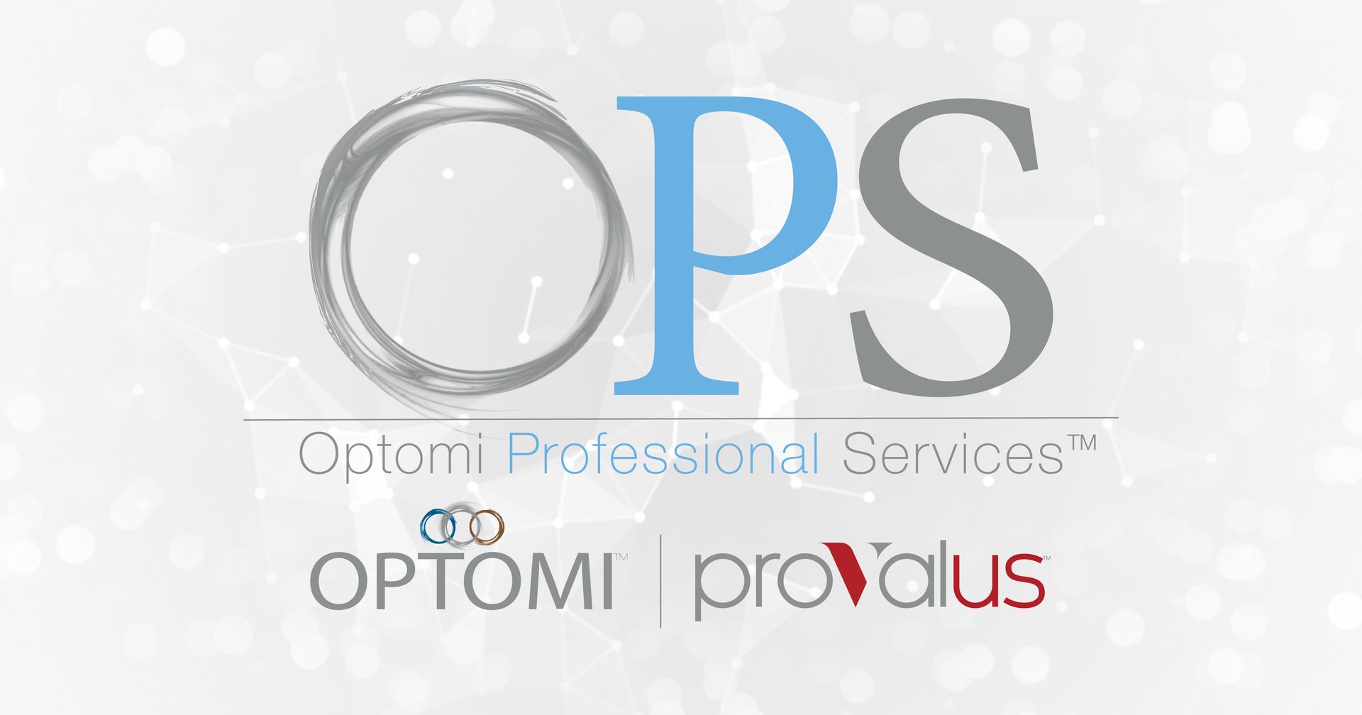 Optomi Professional Services