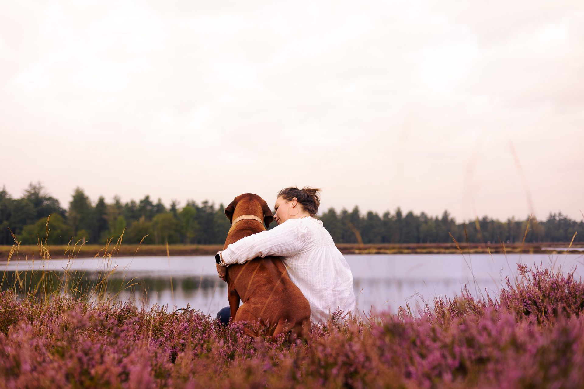 Fotoshoot met jouw hond op locatie naar keuze!
