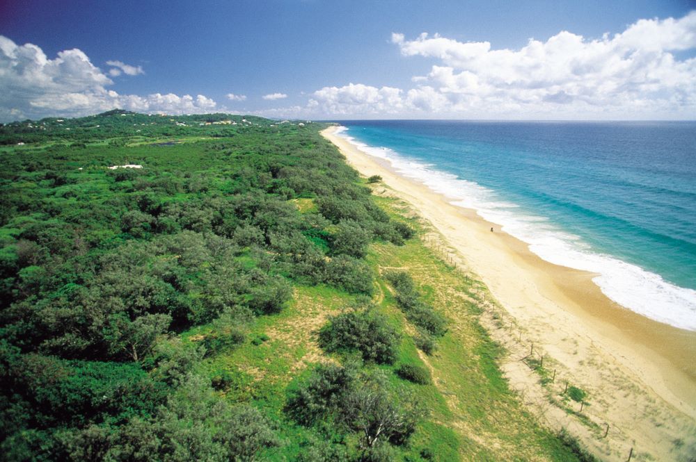 An Aerial View of a Beach Surrounded by Trees and Grass — Aura Towing Service in Noosa, QLD