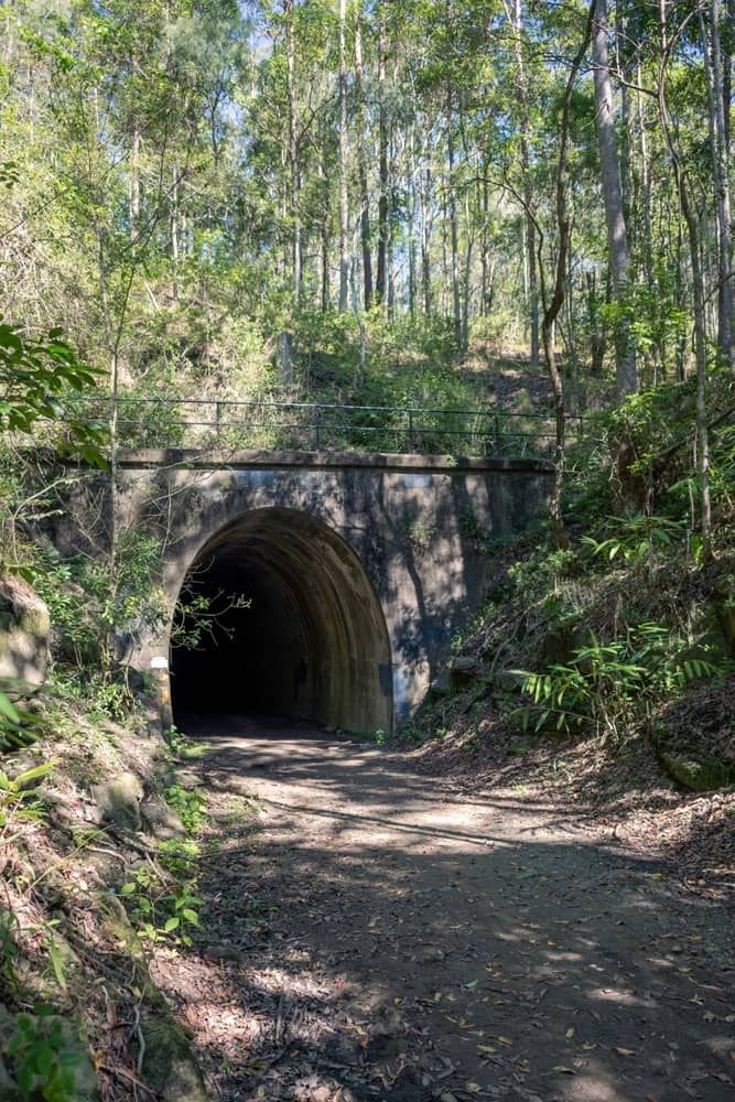 Tunnel Entrance in a Forest — Aura Towing Service in Landsborough, QLD