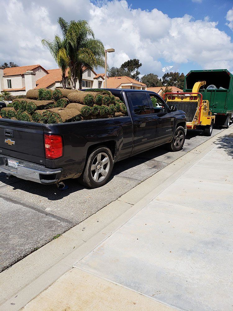 A black truck is parked on the side of the road with a pile of plants in the bed