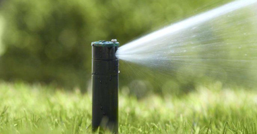 A sprinkler is spraying water on a lush green lawn