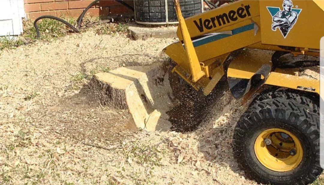 A yellow vermeer stump grinder is cutting a tree stump