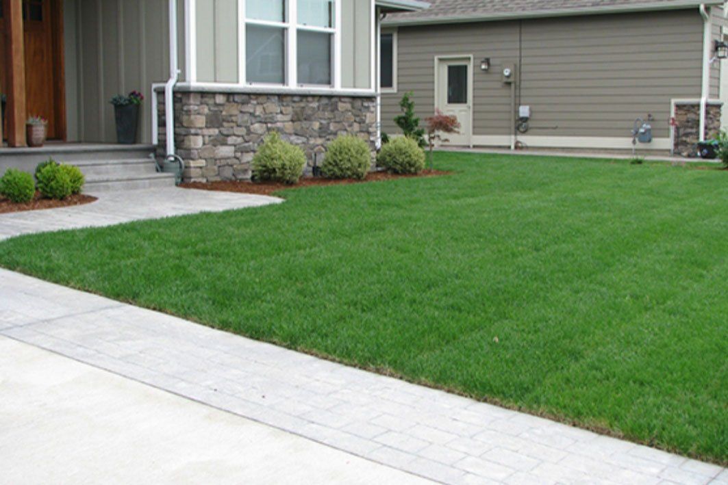 A house with a lush green lawn and a sidewalk in front of it