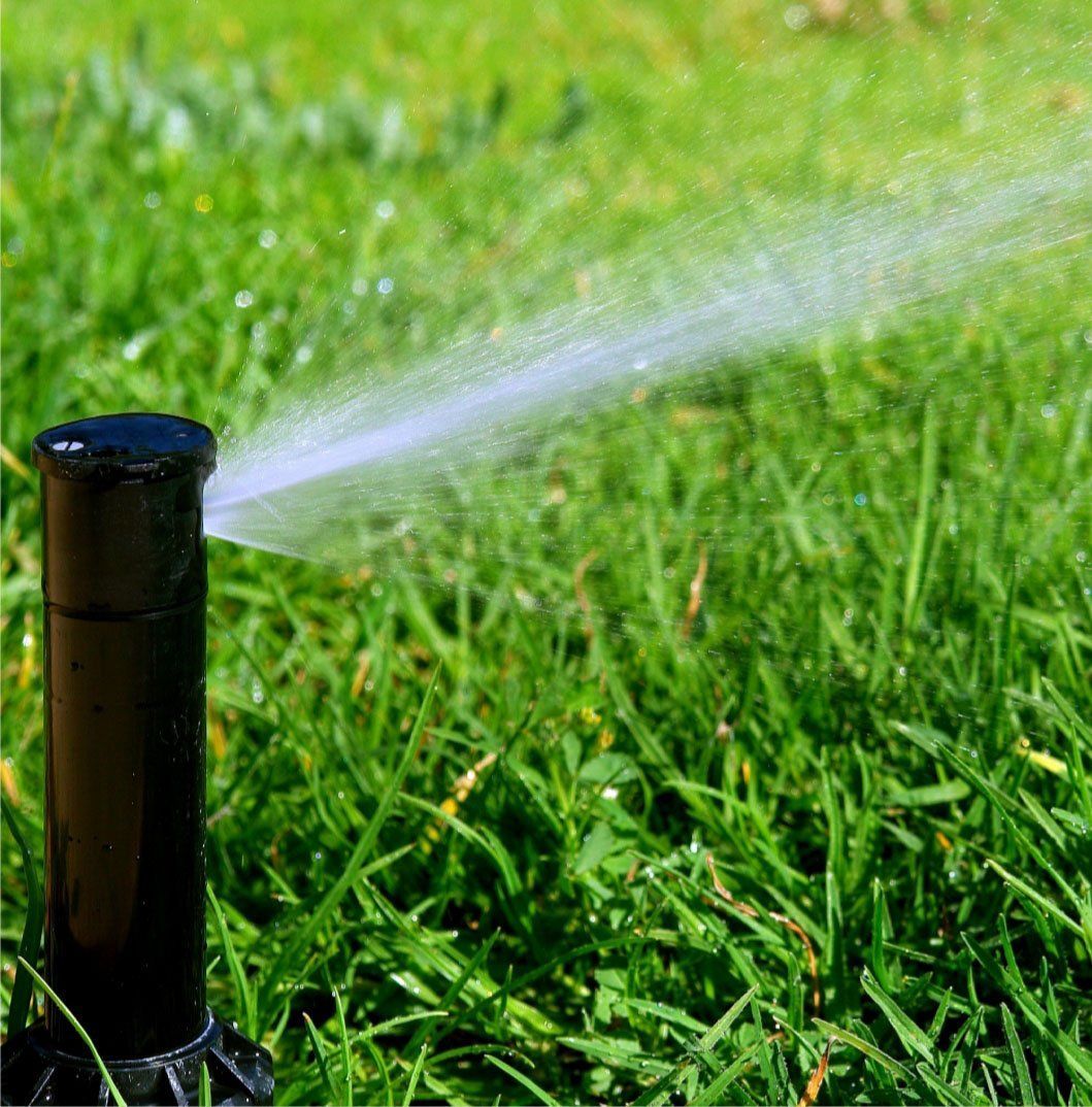 A sprinkler is spraying water on a lush green lawn