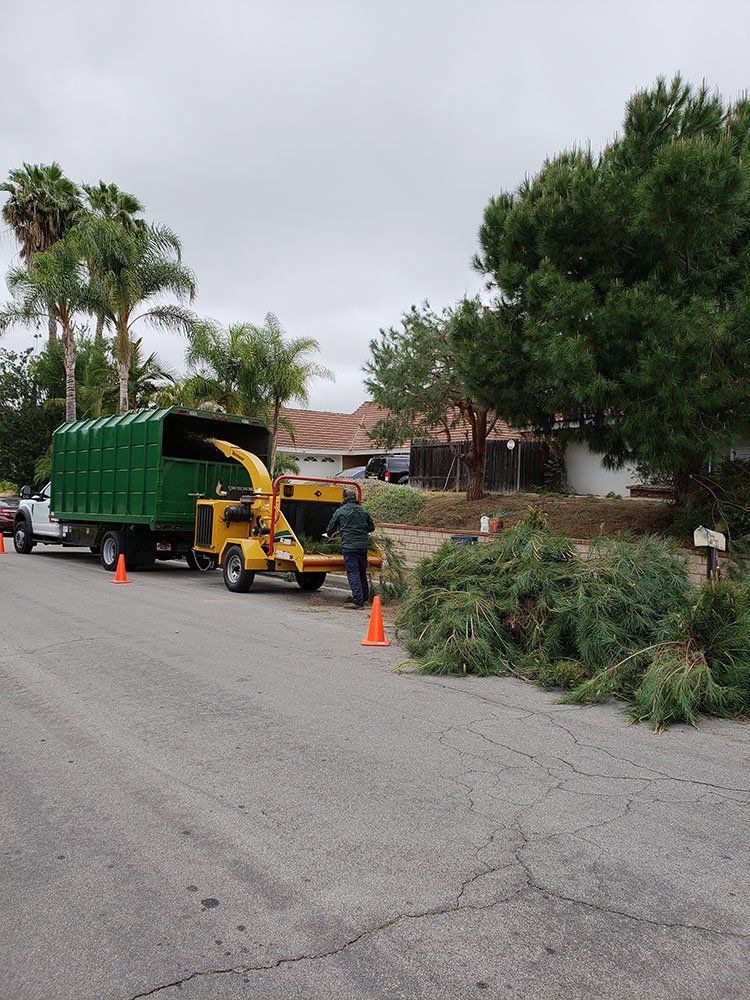 A man is standing next to a tree chipper on the side of the road
