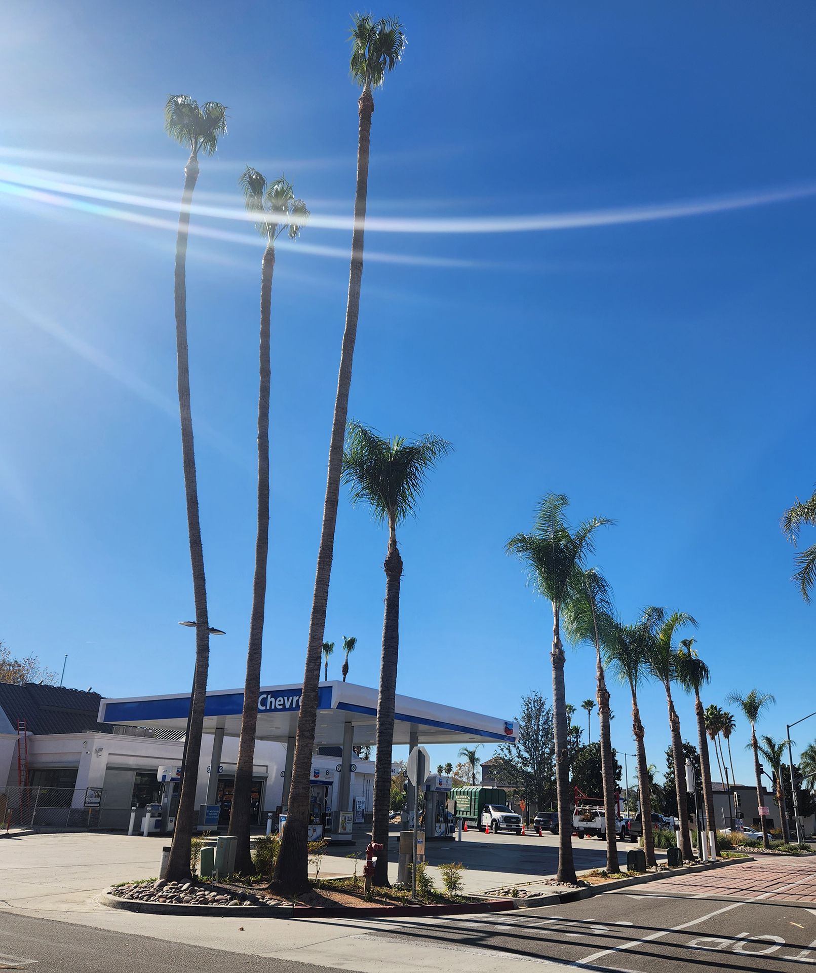 A gas station with palm trees in front of it