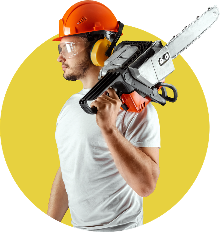 Arborist With Chainsaw Arborist With Chainsaw