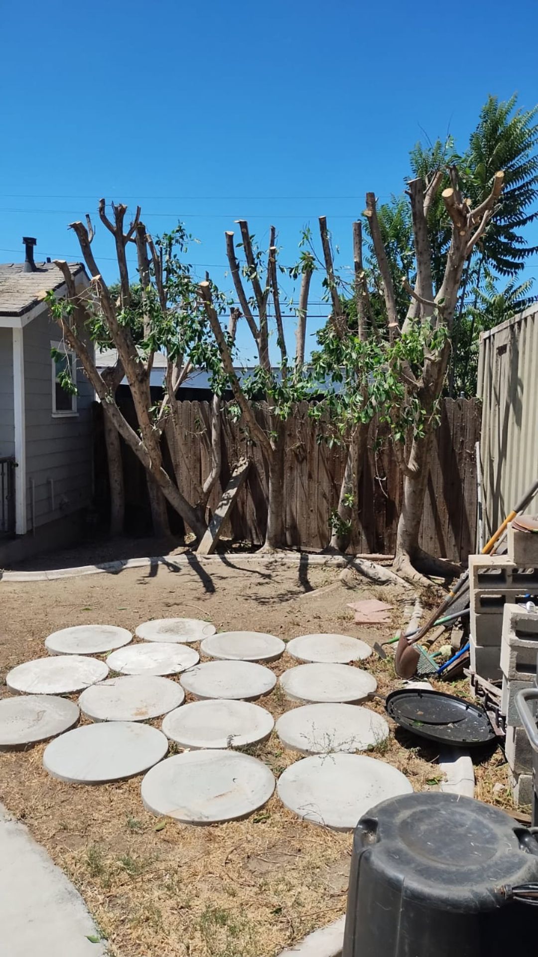 A backyard with a concrete walkway and a wooden fence