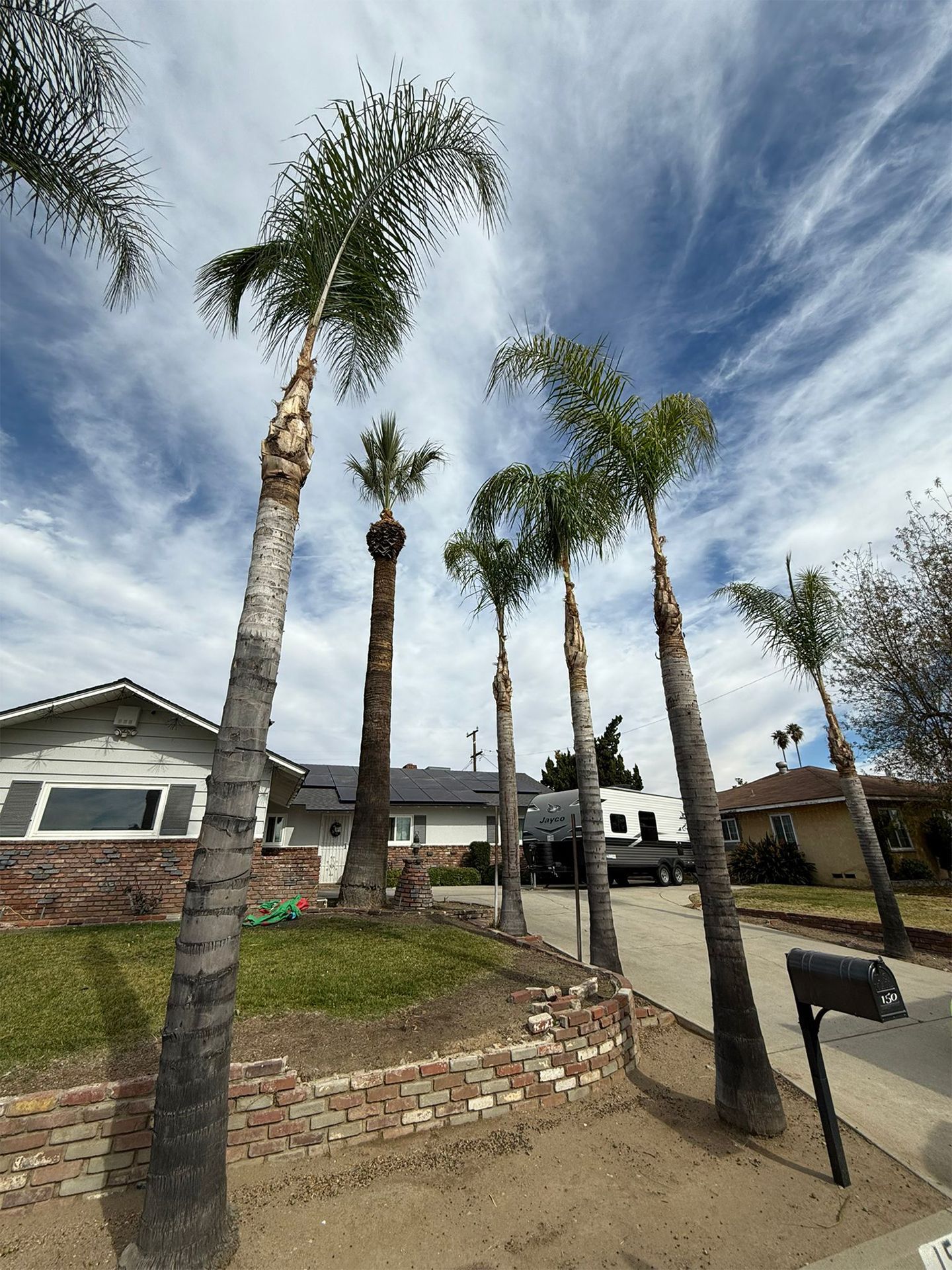 A row of palm trees in front of a house