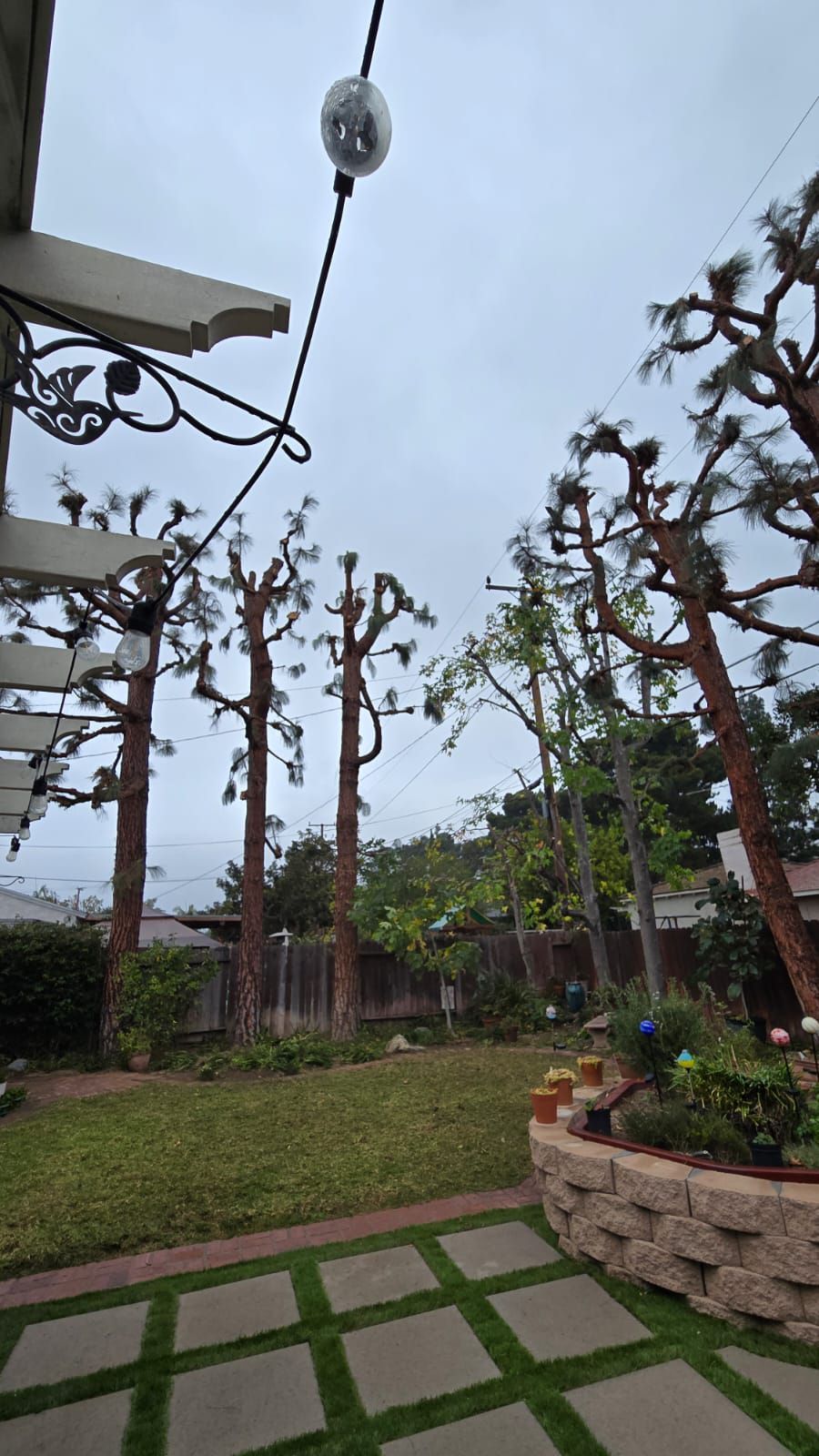 A patio with a pergola and trees in a backyard