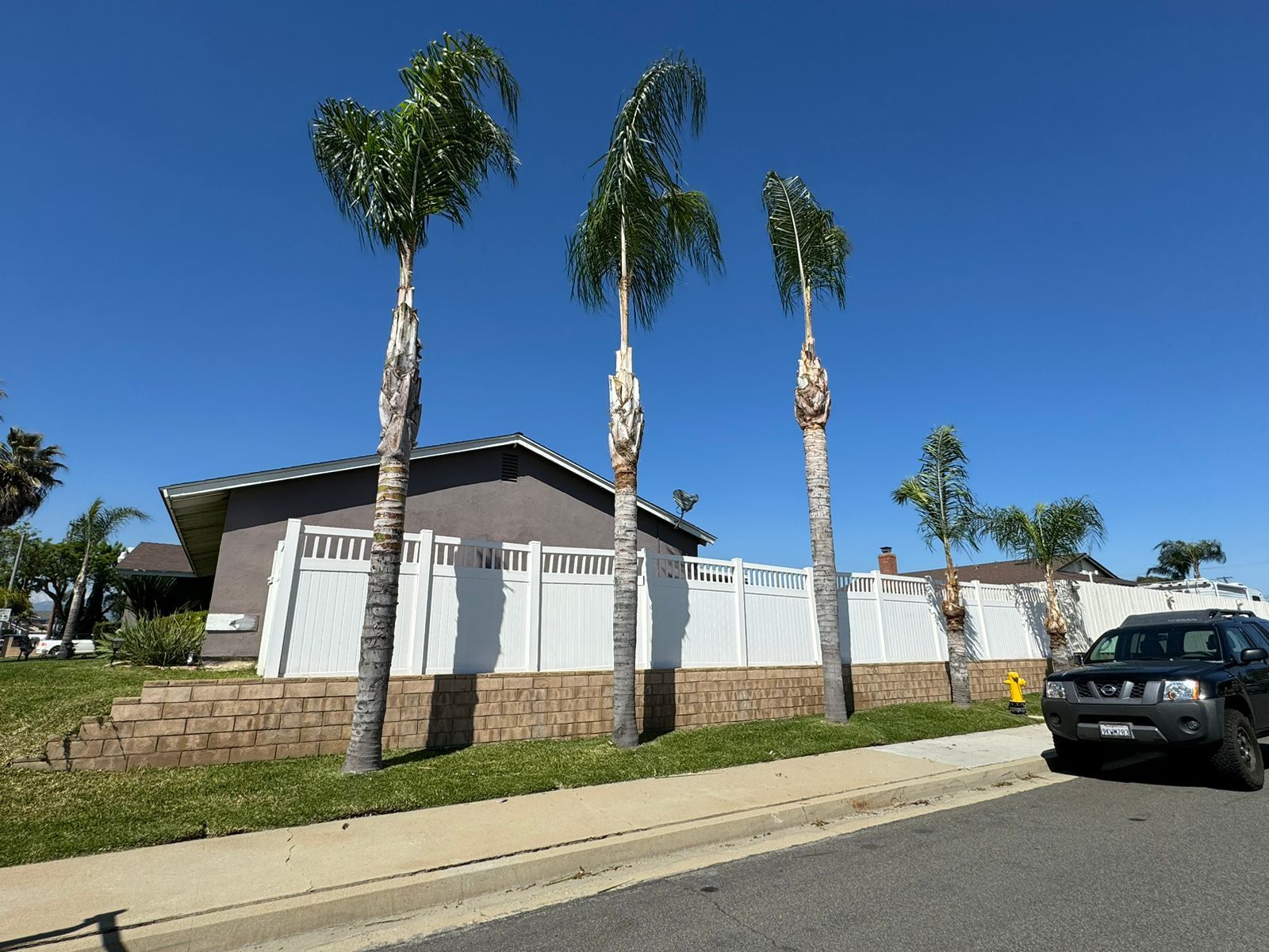 A car is parked in front of a house with palm trees