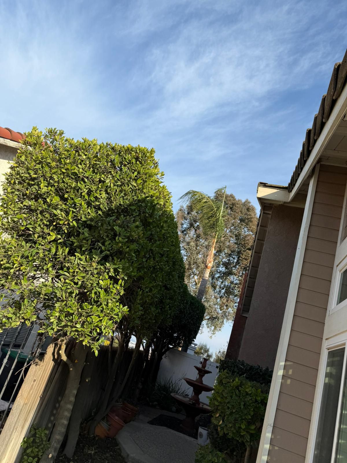 A house with a fountain and trees in front of it