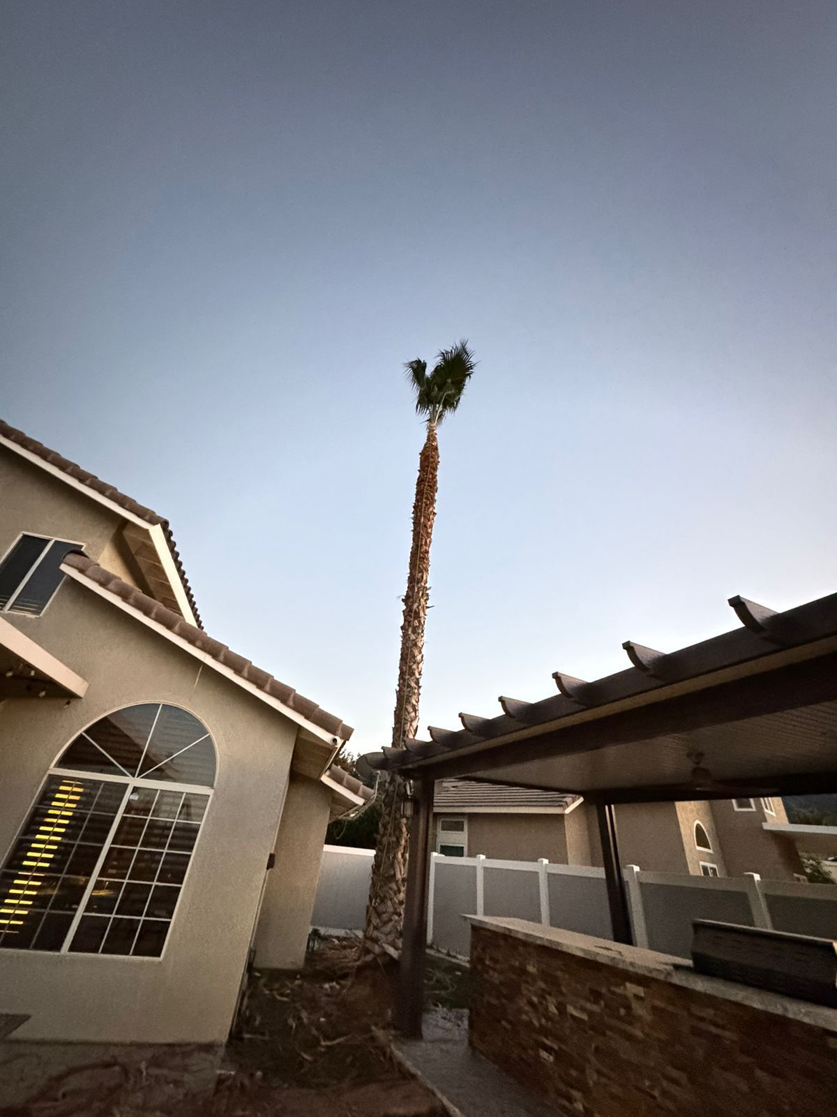 A house with a palm tree in front of i