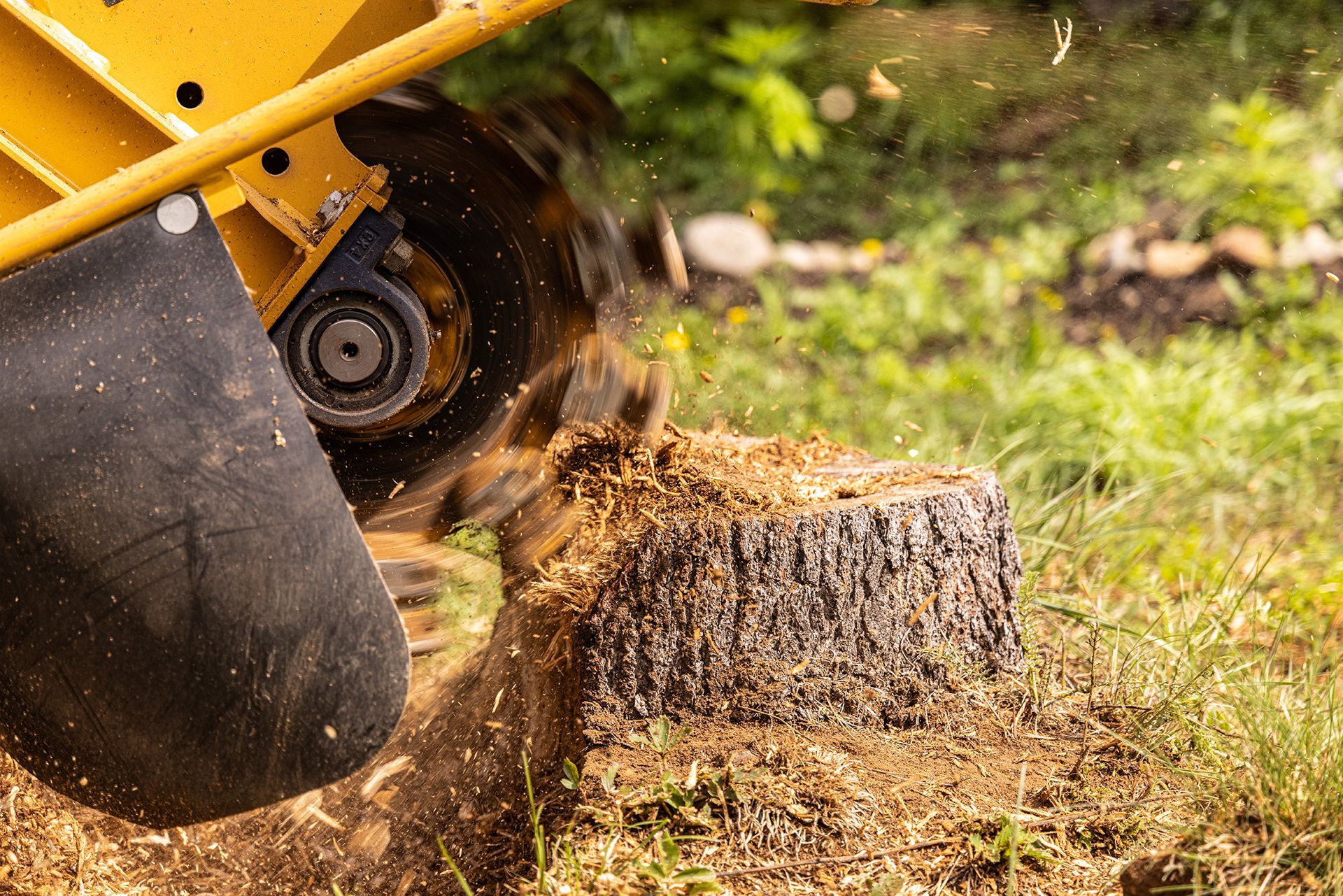 Grinding Tree Stump