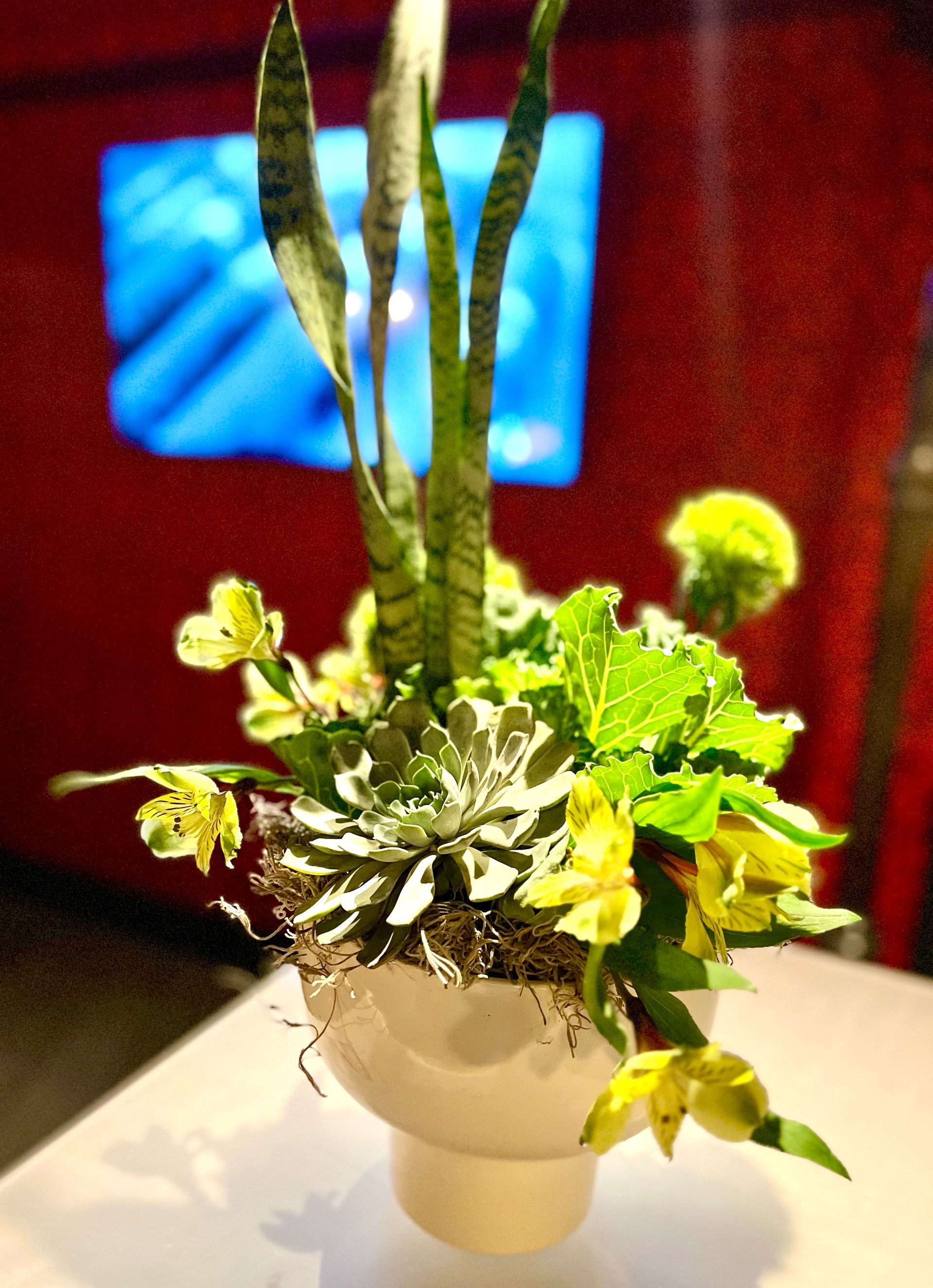 Sustainable succulent Las Vegas corporate convention arrangement