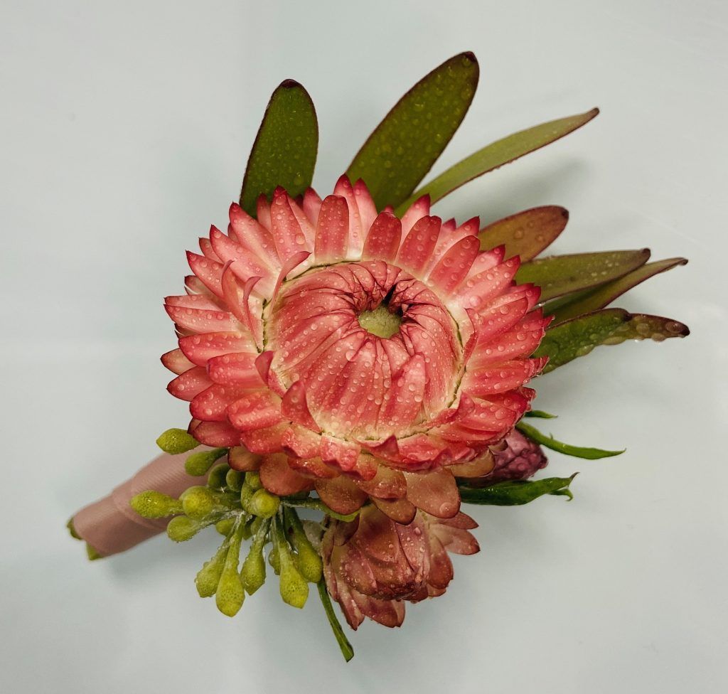 Pink and green floral boutonniere with a large layered bloom on a neutral background