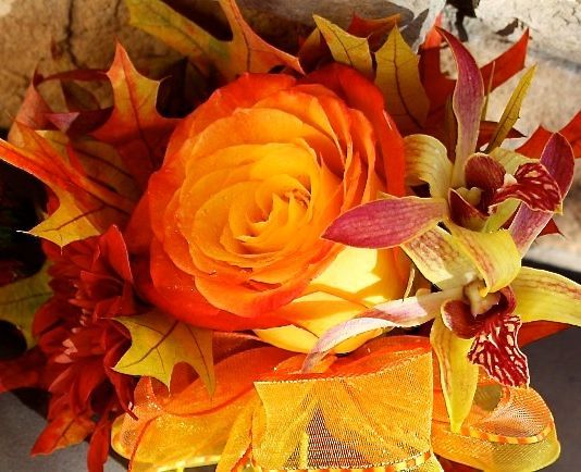 Bright orange rose surrounded by red and gold autumn leaves and petals
