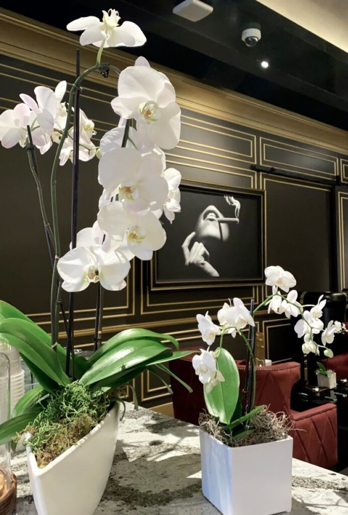 White orchid arrangement Las Vegas corporate decor
