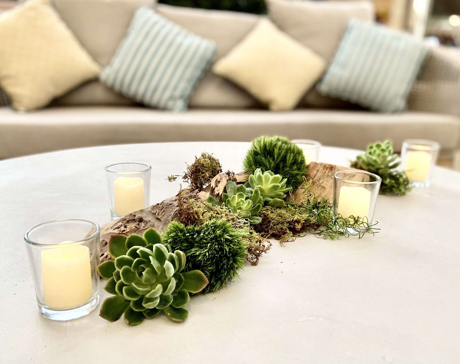 Las Vegas corporate convention sustainable succulent and driftwood arrangement