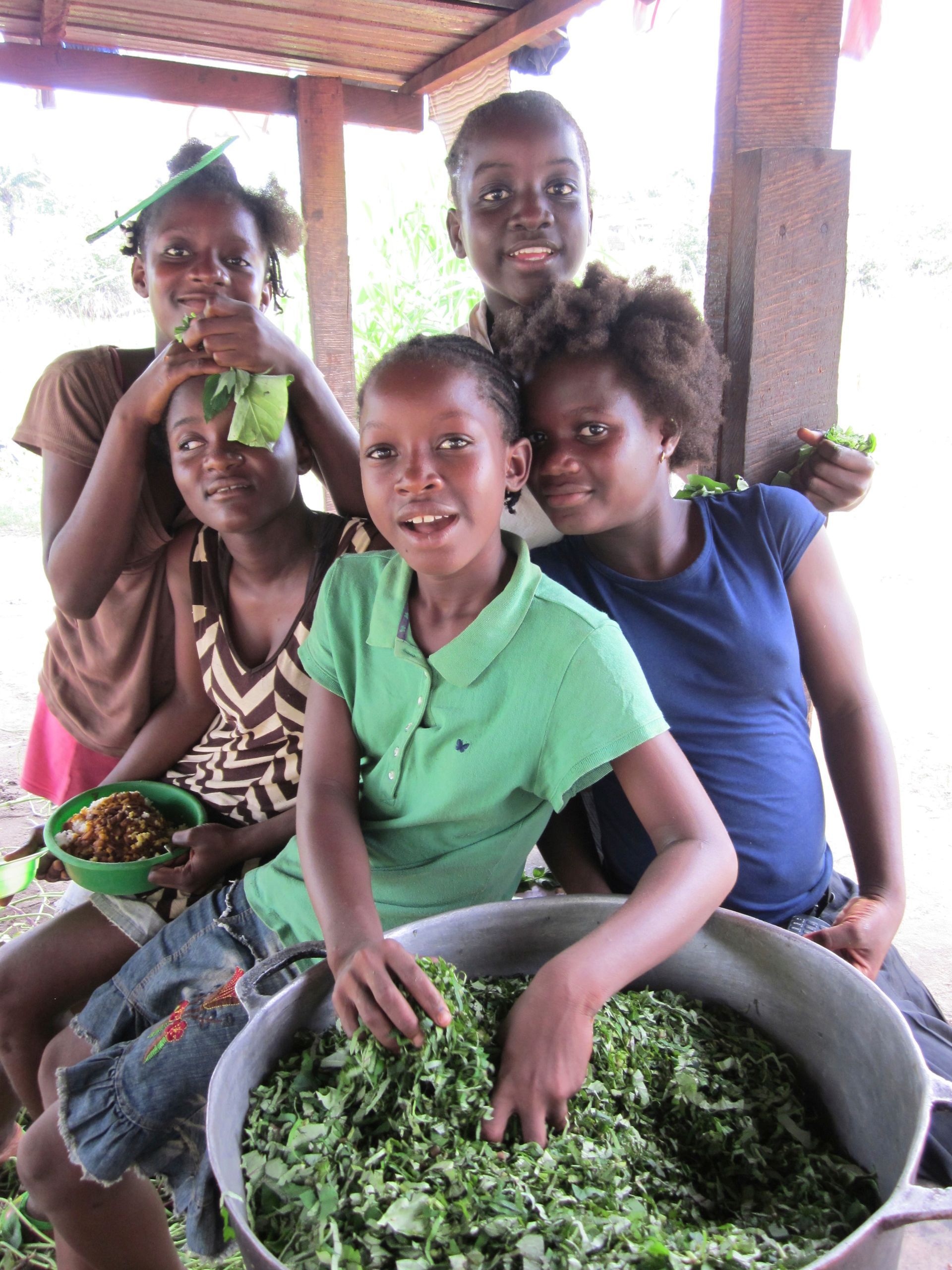 People sorting fresh green leaves in large tubs under a roofed outdoor shelter