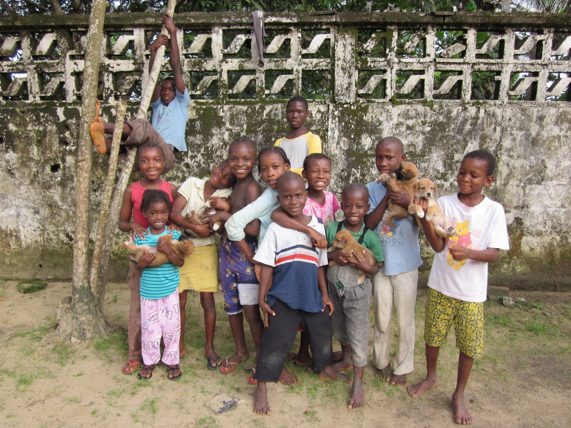 Group of children standing together outdoors in front of a wall and fence, some holding green items
