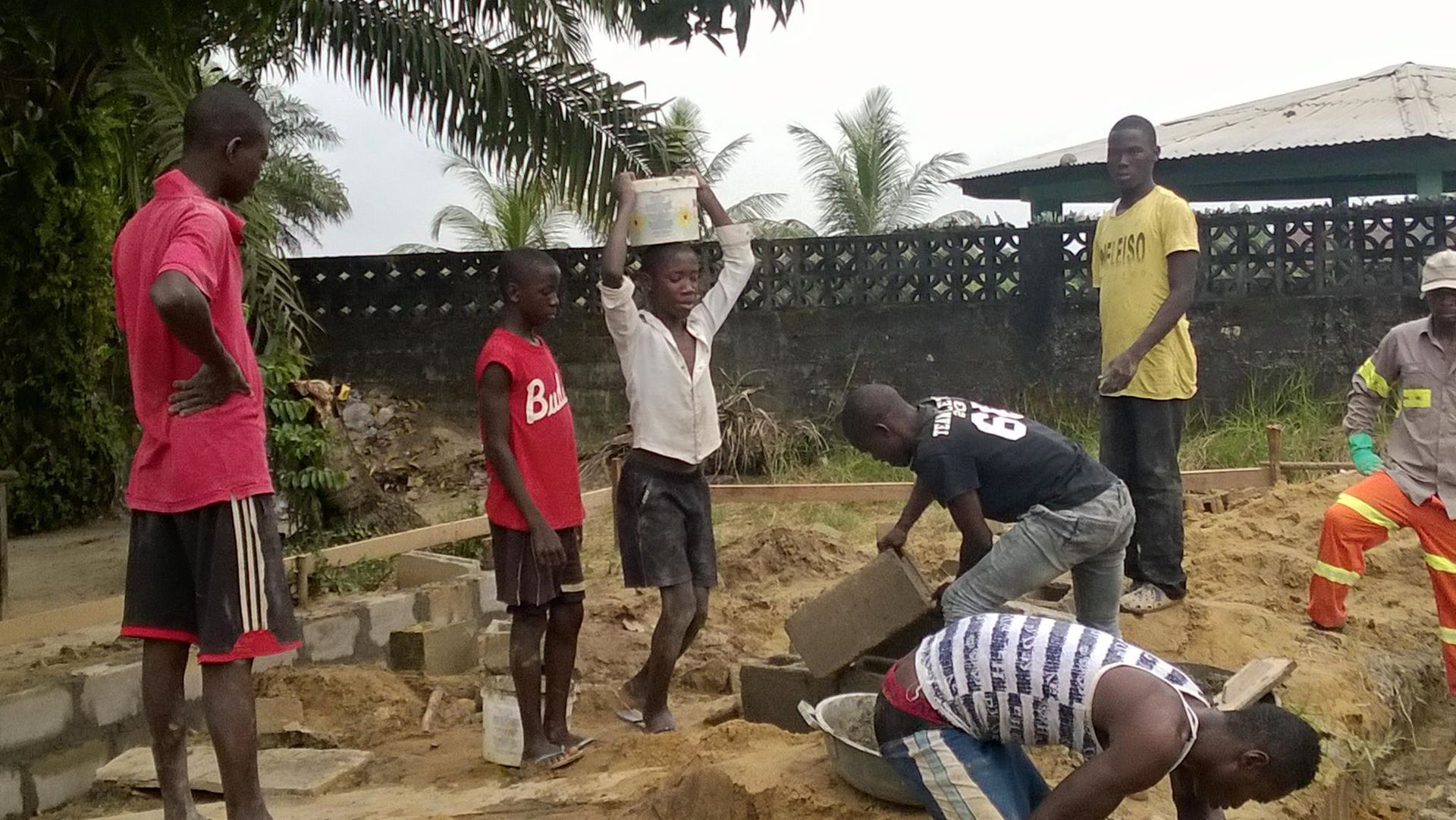 People digging in a yard with shovels, others standing nearby near a brick wall and trees.