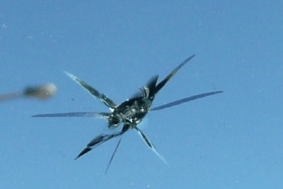 A Close Up Of A Crack In A Windscreen — Simmons Glass & Trim In Bathurst, NSW