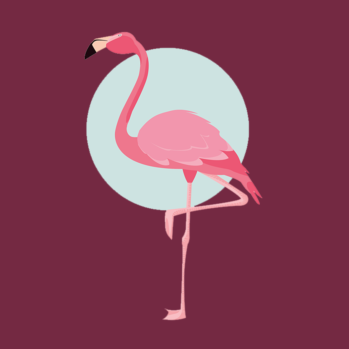 Flamingo