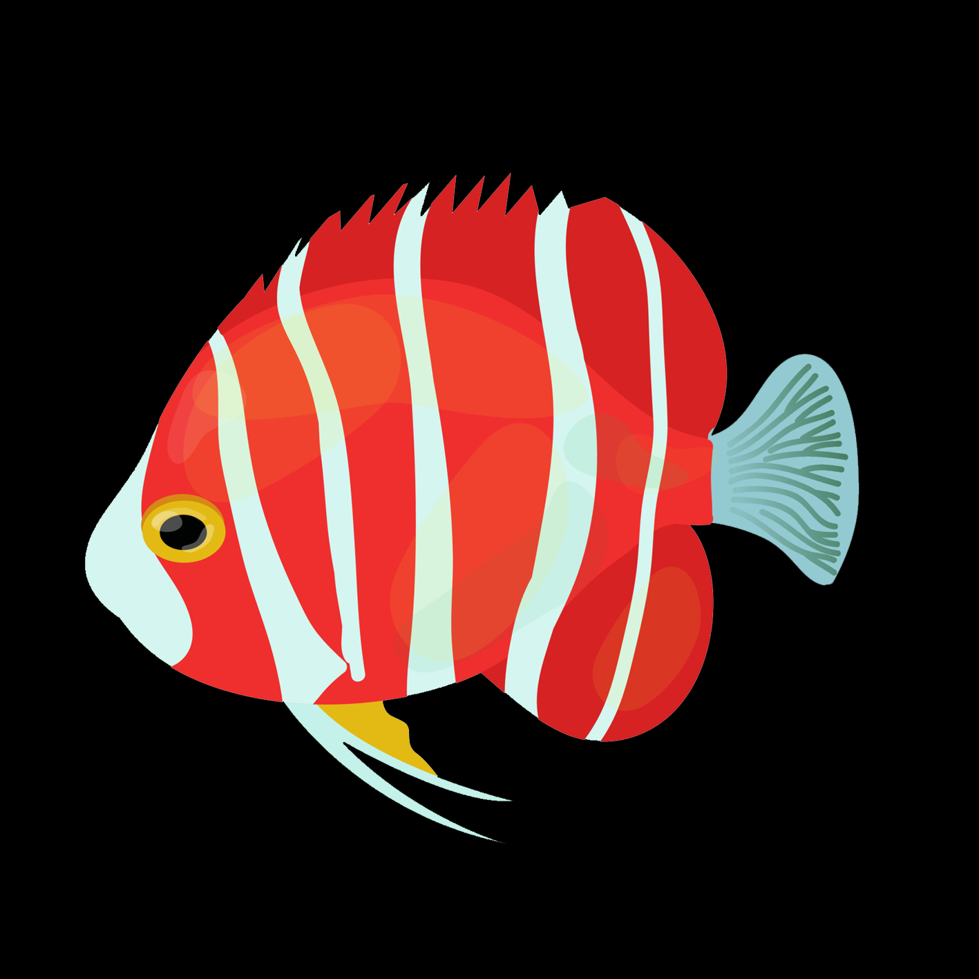 Vis