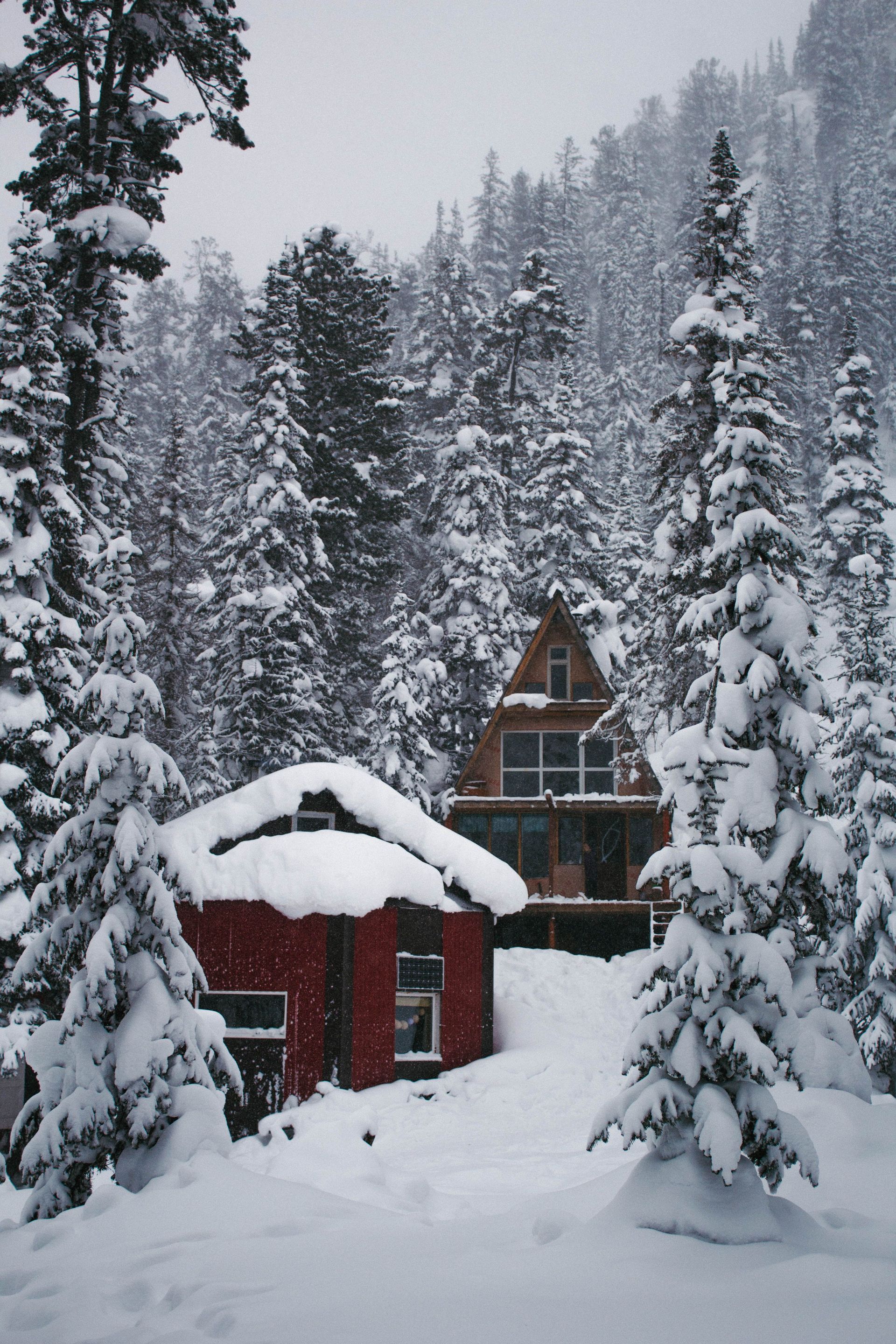 Snow-covered A-frame cabin among ponderosa pines, the kind of Flagstaff, Arizona home that needs snow load coverage