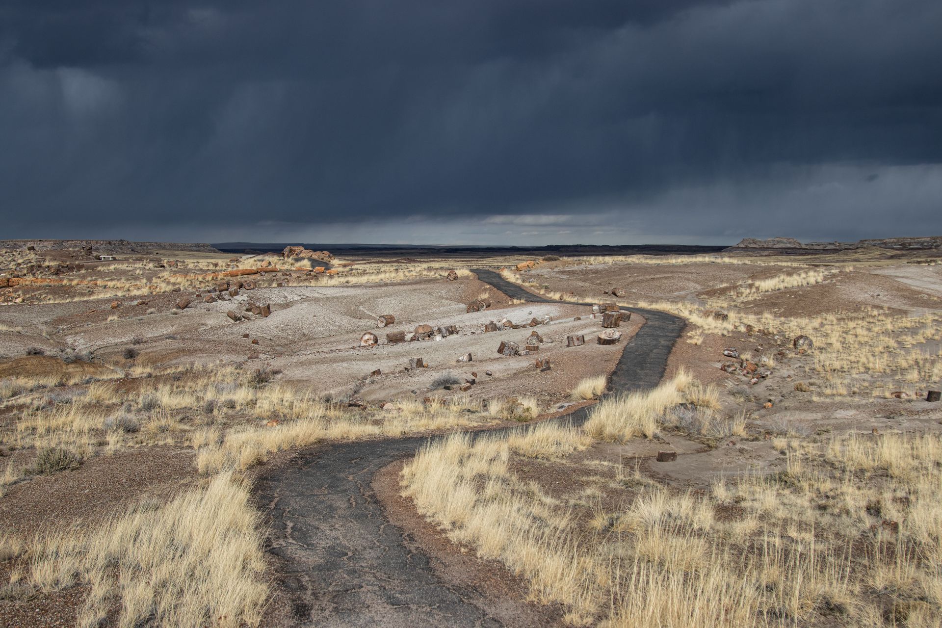 Monsoon storm clouds over a desert road in Arizona, where flood insurance protects homeowners