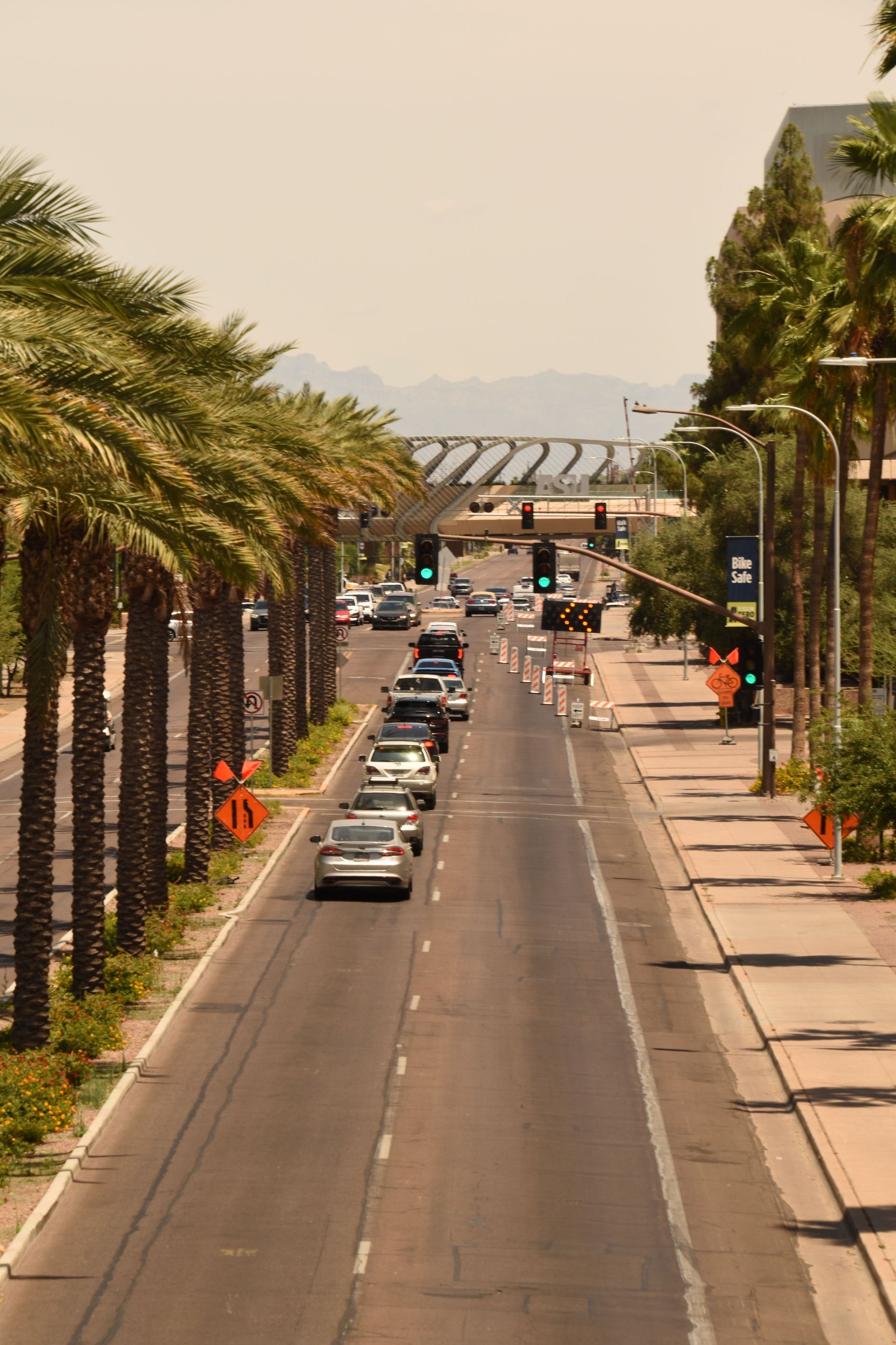 Palm-lined Phoenix Arizona street with cars for car insurance coverage in Arizona