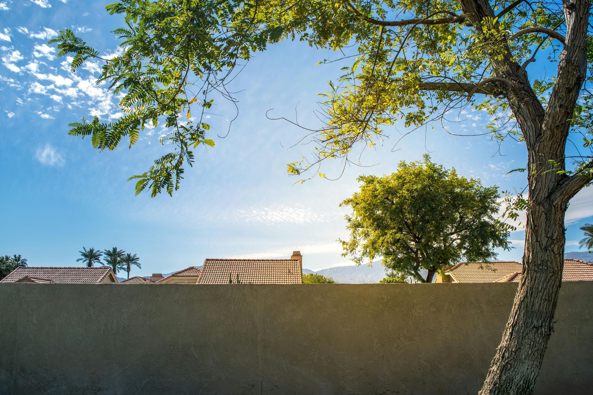 Desert sunset view of a Surprise, Arizona West Valley home with monsoon-season sky and native tree canopy.