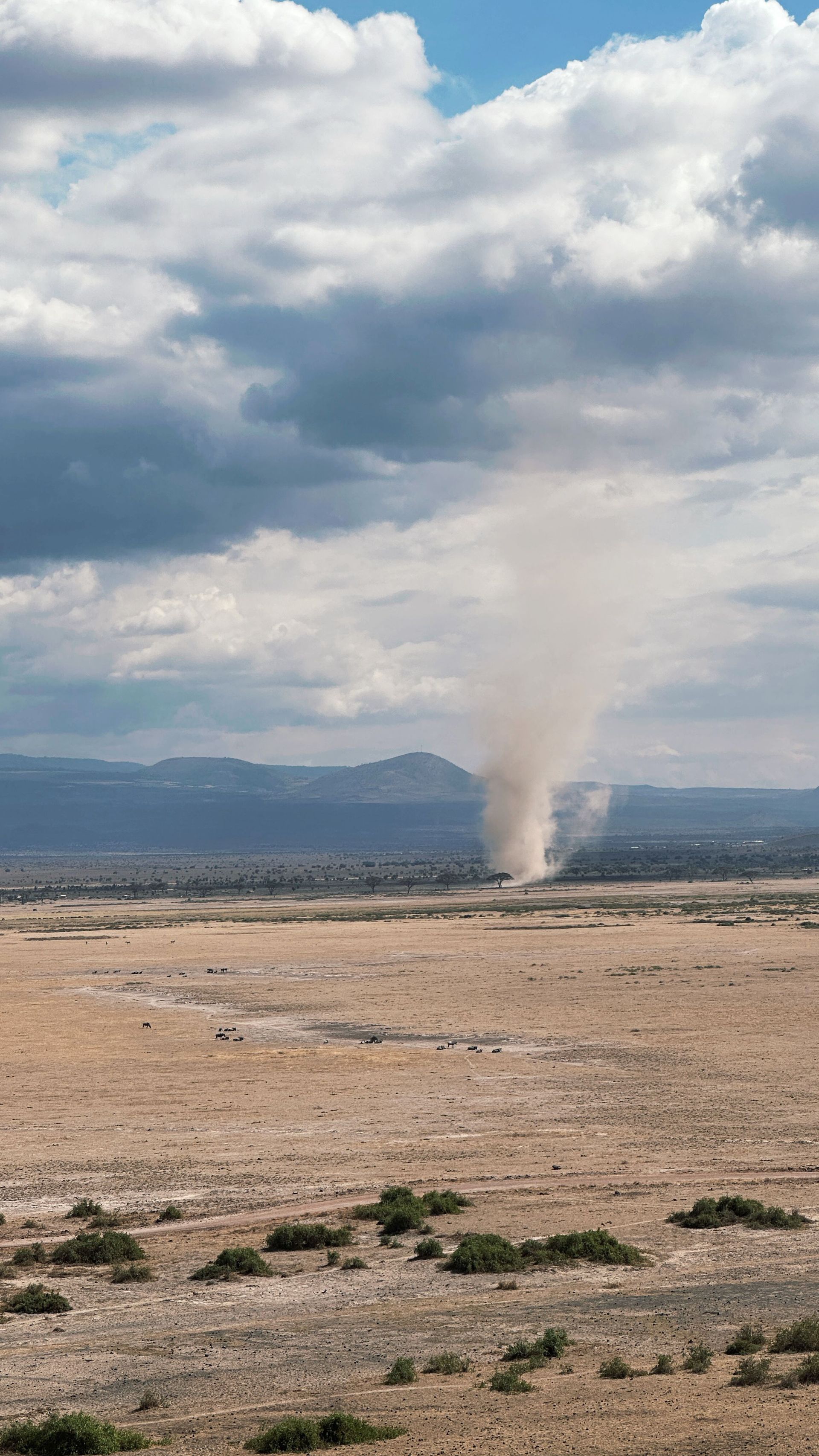 Dust storm column rising over the Arizona desert during monsoon season near Valley homes