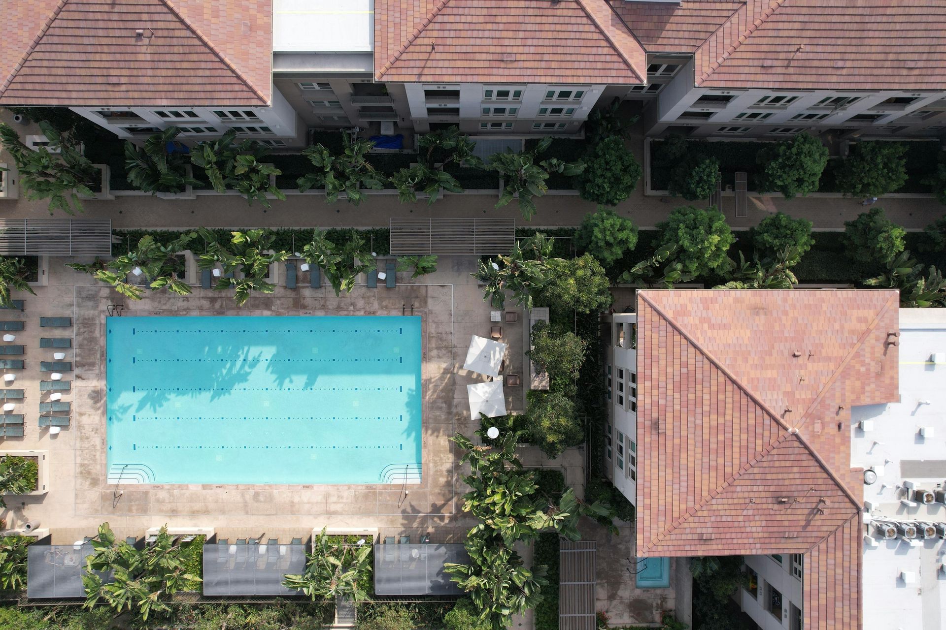 Aerial view of an Arizona apartment complex with a pool and palm trees, home to many renters
