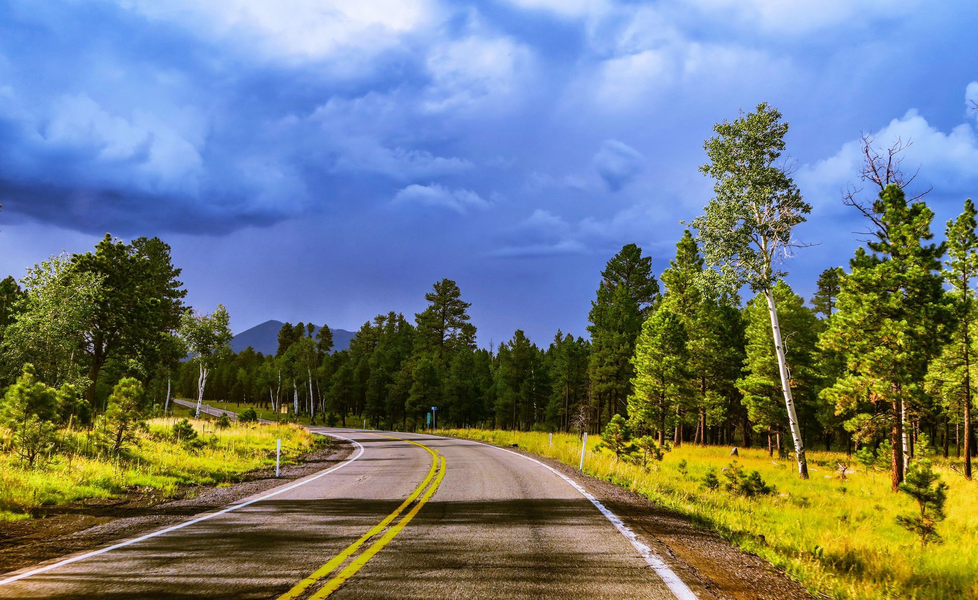 Ponderosa pine forest road near Flagstaff, Arizona, with the San Francisco Peaks in the distance