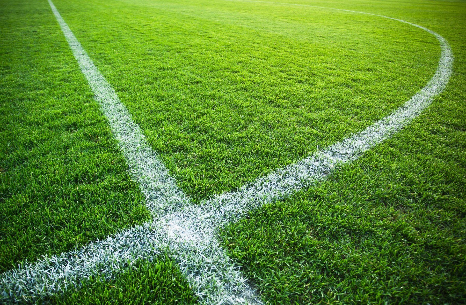 En fotbollsplan med en vit linje på gräset.