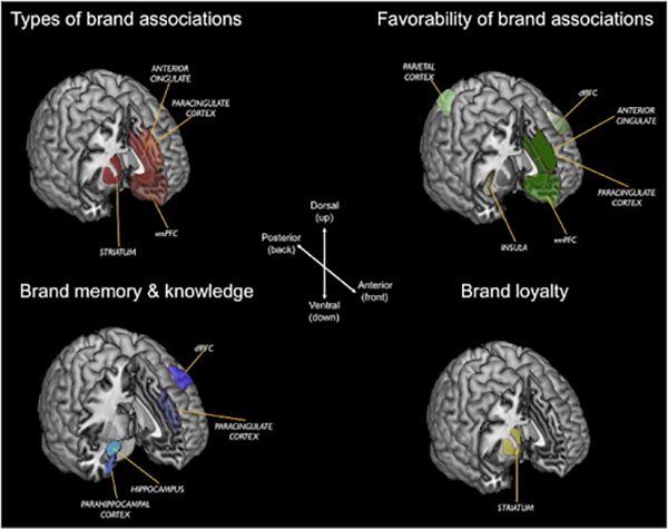 PT 206 | Brand Memory