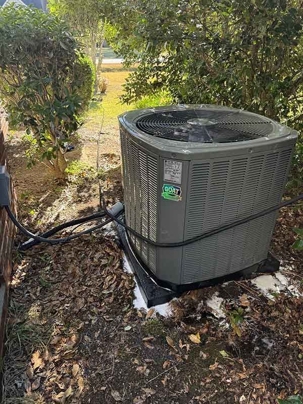 Outdoor air conditioning unit beside shrubs on a mulched yard, with hoses and wiring attached.