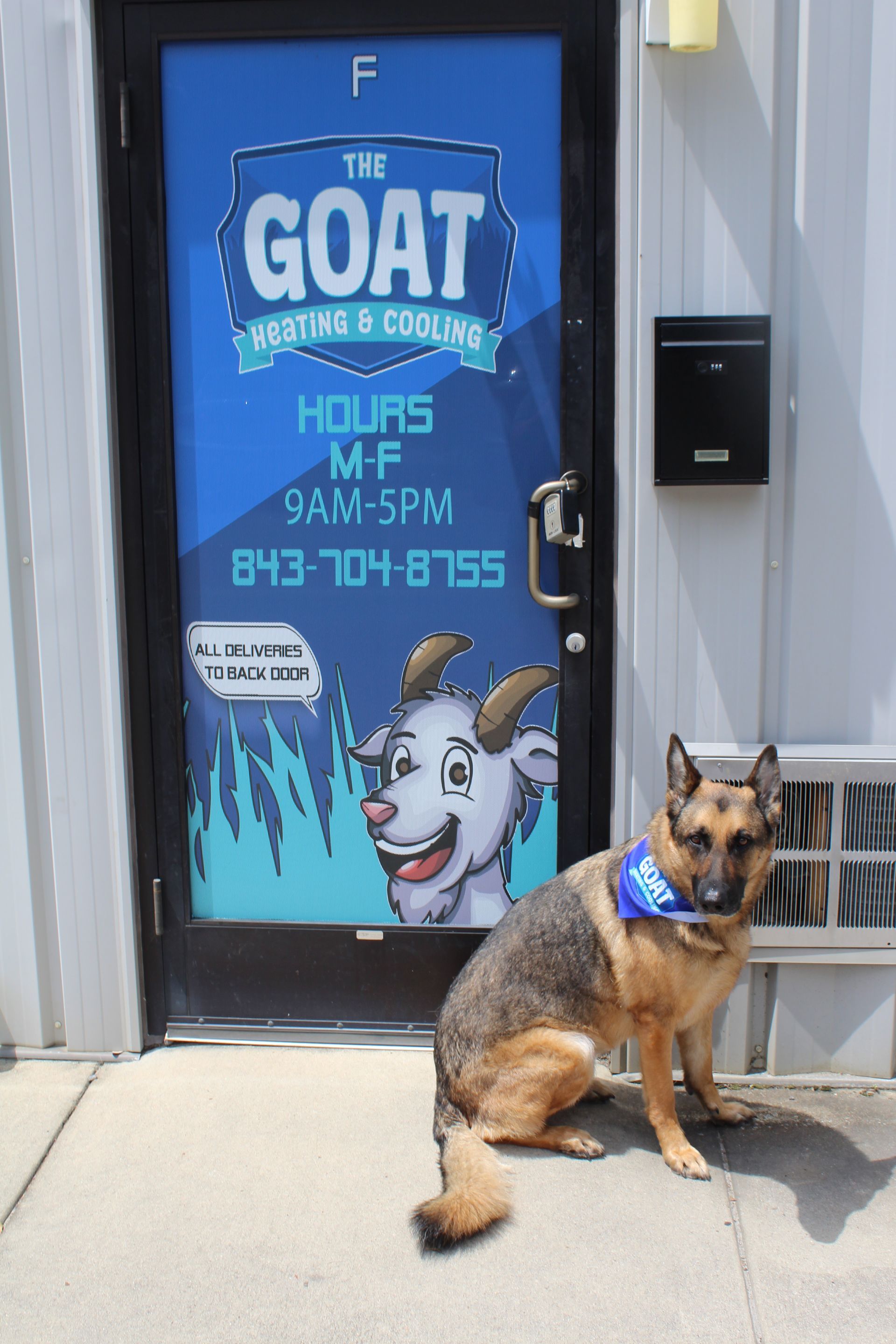 Dog sitting outside a blue storefront with a GOAT sign and a cartoon goat graphic.