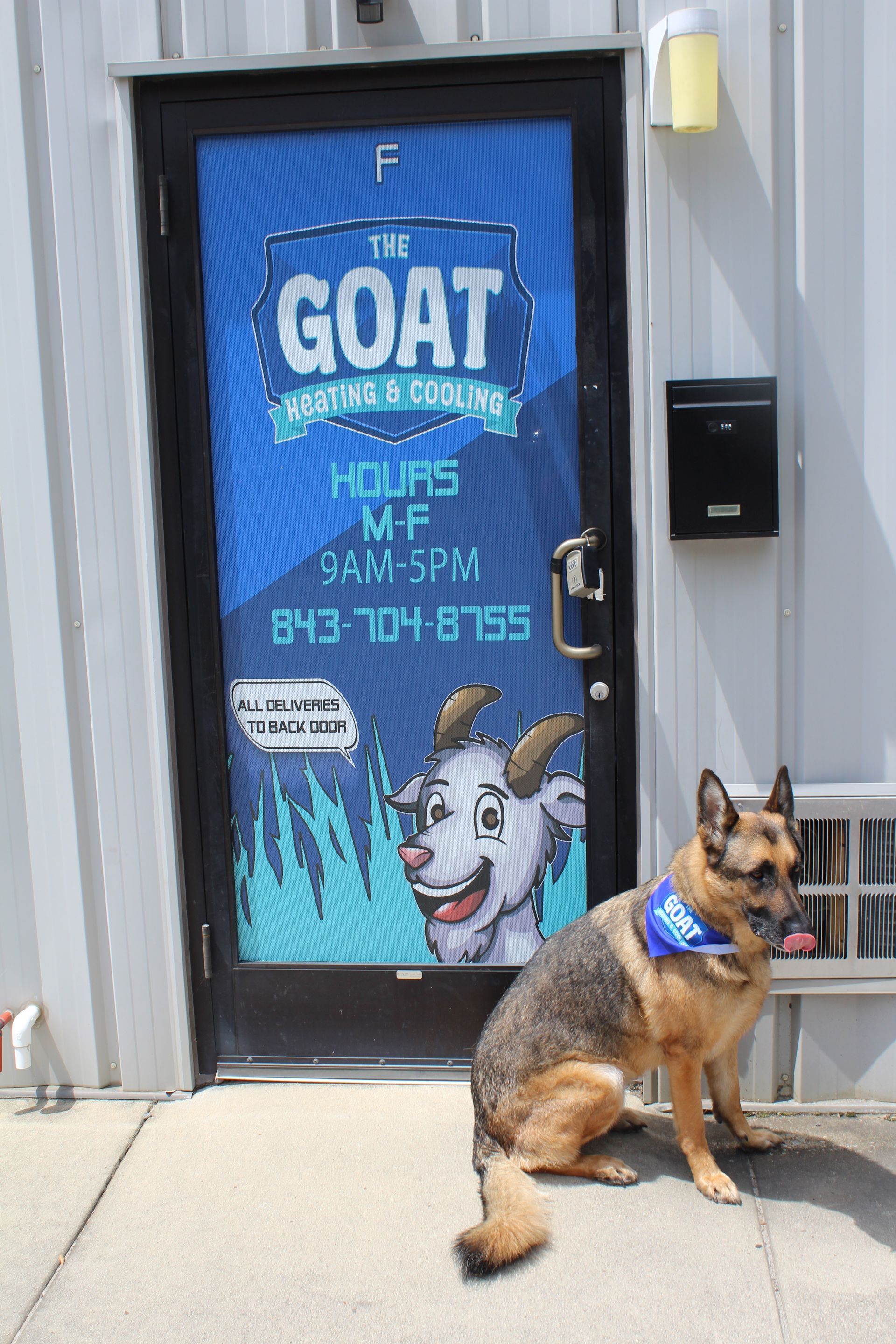 Dog sitting outside a blue storefront door labeled “The Goat,” wearing a blue bandana.