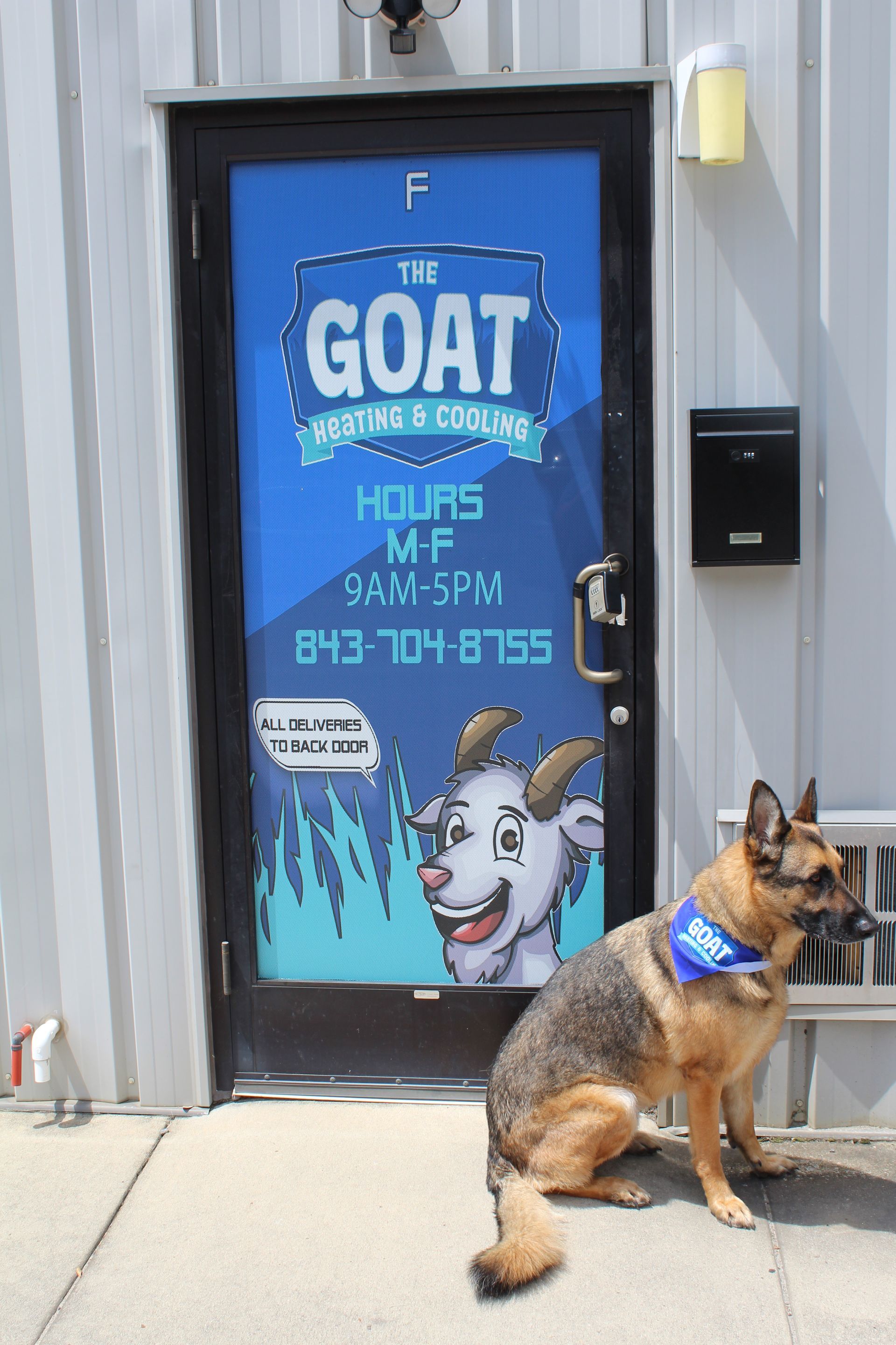 German shepherd sitting on a sidewalk beside a blue door with a goat mural and shop hours.