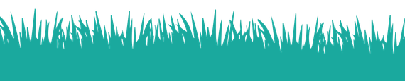 Teal grass-like silhouette along the bottom edge on a white background