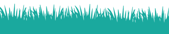 Teal grass silhouette along the bottom on a white background
