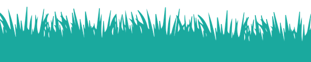 Teal grass-like silhouette along the bottom edge on a white background