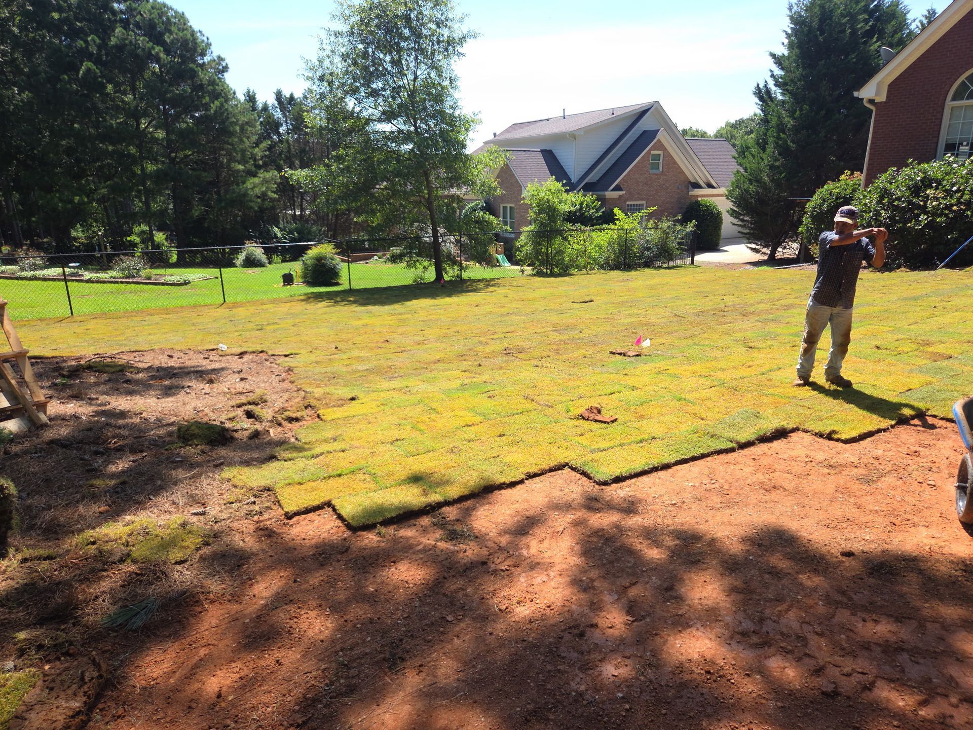 Man laying sod in a sunny yard; house and trees in the background.