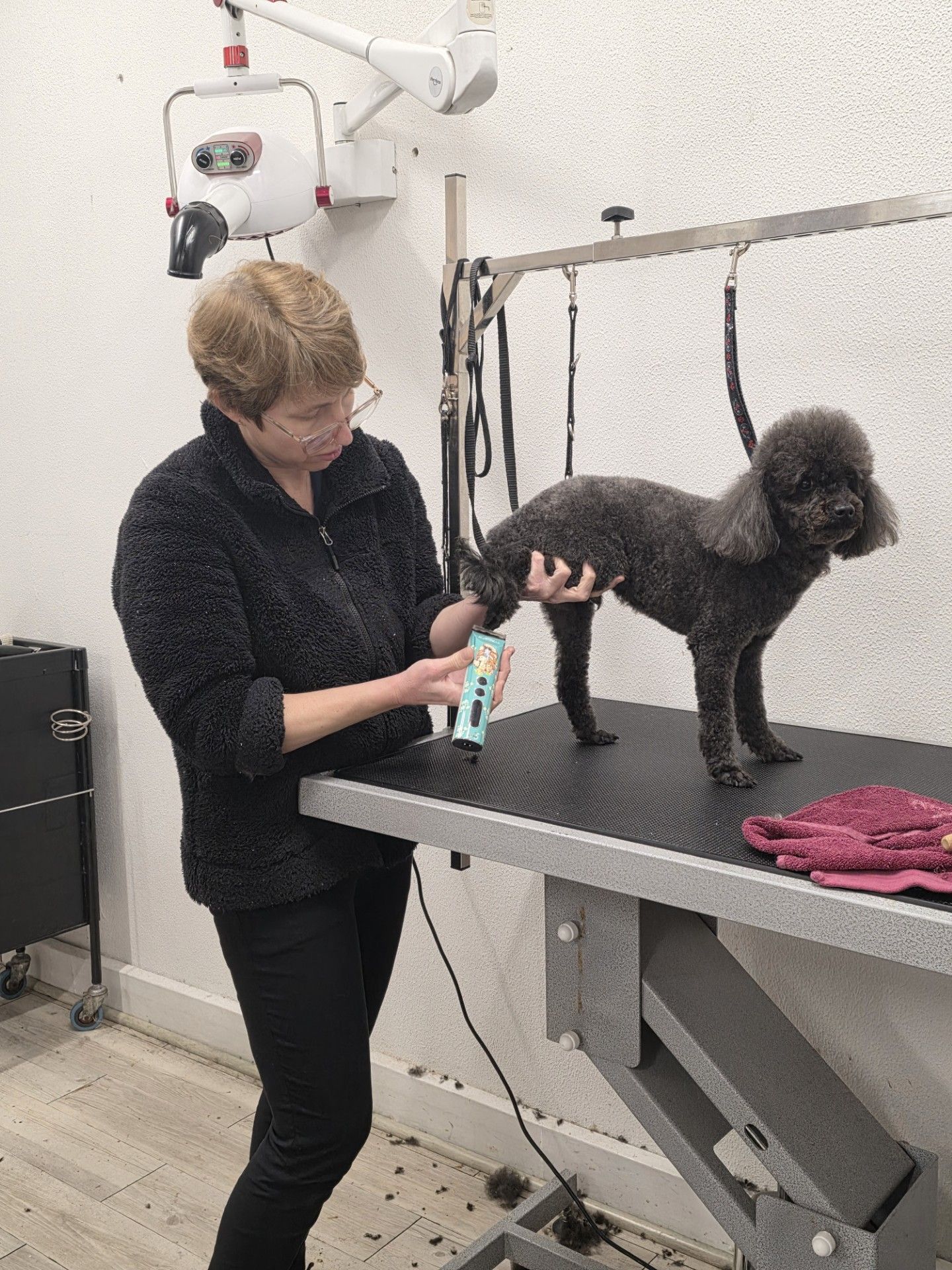 Groomer holding a dark gray poodle on a grooming table, using a spray bottle. White walls and grooming equipment in the background.