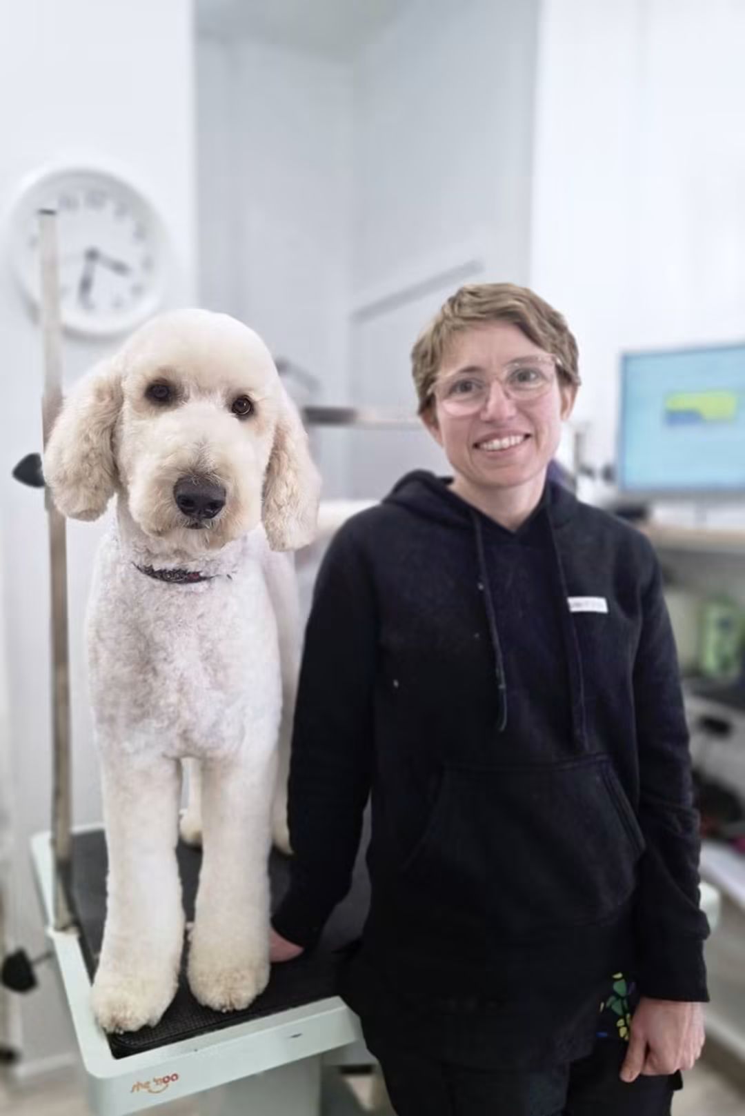 Poodle standing beside a smiling person in a black hoodie in a bright grooming room